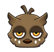 Bébé Noctua